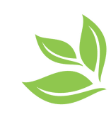 Three stylized green leaves on a white background.